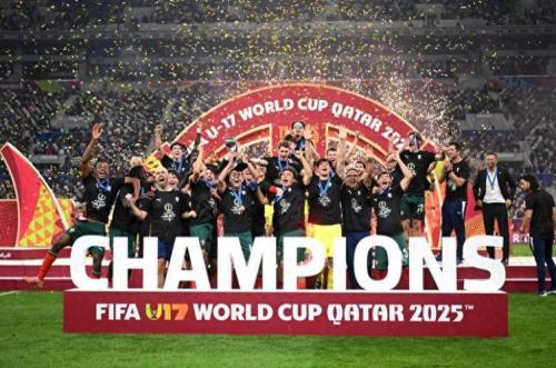 世界杯17年冠军，2017世界杯全部战绩？