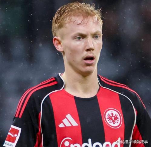 德甲第18轮比分预测，德甲第18轮集锦