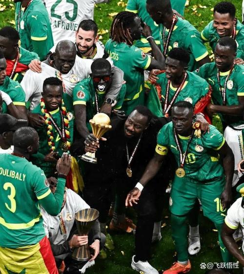 非洲杯裁判名单公布？非洲杯悲剧？